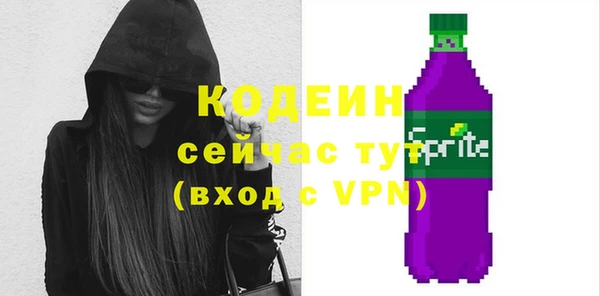 прущая мука Вяземский