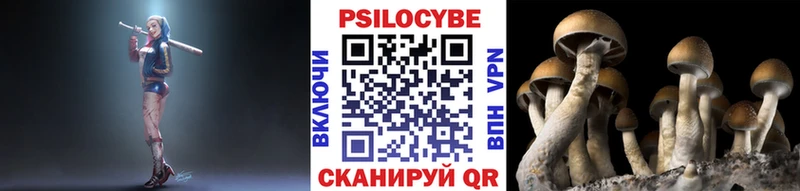 закладка  Ковылкино  сайты даркнета как зайти  Галлюциногенные грибы ЛСД 